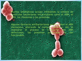 Muchos antibióticos actúan inhibiendo la síntesis de
moléculas bacterianas intracelulares como el ADN, el
ARN, los ribosomas o las proteínas.
Algunos fármacos antibacterianos actúan sobre el ARN
mensajero, alterando su mensaje genético. Así, al
realizarse el proceso de traducción del ARN
defectuoso, las proteínas producidas no son
funcionales.

 