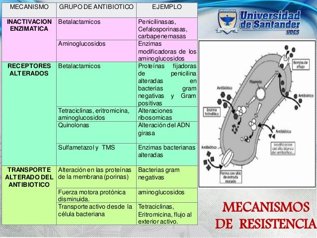 mecanismo o review bacteriana Resistencia mecanismo o review bacteriana Resistencia