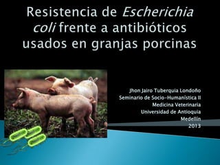 Jhon Jairo Tuberquia Londoño
Seminario de Socio-Humanística II
Medicina Veterinaria
Universidad de Antioquia
Medellín
2013
 