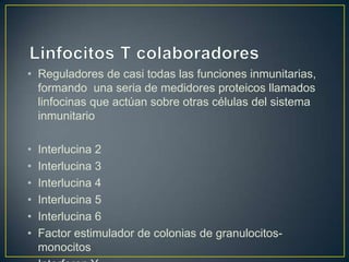 • Reguladores de casi todas las funciones inmunitarias,
formando una seria de medidores proteicos llamados
linfocinas que actúan sobre otras células del sistema
inmunitario
•
•
•
•
•
•

Interlucina 2
Interlucina 3
Interlucina 4
Interlucina 5
Interlucina 6
Factor estimulador de colonias de granulocitosmonocitos

 