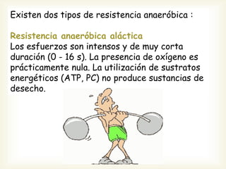 Existen dos tipos de resistencia anaeróbica :
Resistencia anaeróbica aláctica
Los esfuerzos son intensos y de muy corta
duración (0 - 16 s). La presencia de oxígeno es
prácticamente nula. La utilización de sustratos
energéticos (ATP, PC) no produce sustancias de
desecho.
 