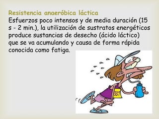 Resistencia anaeróbica láctica
Esfuerzos poco intensos y de media duración (15
s - 2 min.), la utilización de sustratos energéticos
produce sustancias de desecho (ácido láctico)
que se va acumulando y causa de forma rápida
conocida como fatiga.
 