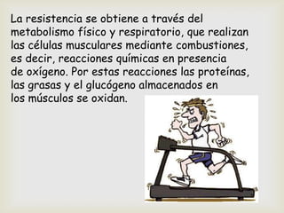 La resistencia se obtiene a través del
metabolismo físico y respiratorio, que realizan
las células musculares mediante combustiones,
es decir, reacciones químicas en presencia
de oxígeno. Por estas reacciones las proteínas,
las grasas y el glucógeno almacenados en
los músculos se oxidan.
 