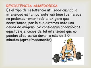 RESISTENCIA ANAEROBICA
Es el tipo de resistencia utilizada cuando la
intensidad es tan potente, así bien fuerte que
no podemos tomar todo el oxígeno que
necesitamos, por lo que estamos ante una
deuda de oxígeno. Se consideran anaeróbicos
aquellos ejercicios de tal intensidad que no
puedan efectuarse durante más de 3.0
minutos (aproximadamente).
 