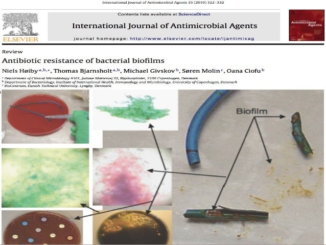Mrsa Nature Reviews Microbiology Mrsa Nature Reviews Microbiology
