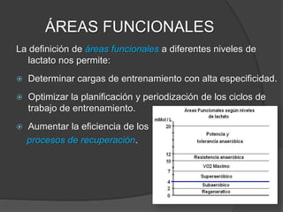 Área Funcional REGENERATIVA
 Ejercicios de entrada en calor y vuelta a la calma.
 Remoción de lactato facilitando la reconversión de
lactato a piruvato, proceso base para la recuperación
deportiva (proceso fisiológico más importante).
 Activar el sistema cardio-respiratorio y el metabolismo
aeróbico de base.
 Aumento de la temperatura corporal.
 