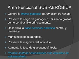 Área Funcional SUB-AERÓBICA
Aspectos metodológicos:
 Duración: 50’-60’ (tiempo de trabajo + pausa).
 Tipo: continuo o fraccionado largo (10’ x 1’ de pausa).
 Pausa: 20”- 45”.
 Frecuencia: cada 6-8 hs.
 Volumen: 45-50%.
 Ventilación: Suave (boca/nariz). Habla normalmente.
 Nivel de lactato: 2-4 mM/L
 Combustible predominante: Grasas (AGL y TG) y
oxidación de ácido láctico.
 