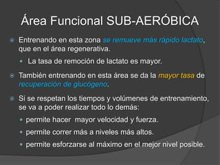 Área Funcional SUPERAERÓBICA
 Específico para aumentar la eficiencia del mecanismo de
producción-remoción de lactato en “steady-state” (equilibrio
lactácido).
 Vital para mejorar la velocidad “crucero” en las carreras de medio
fondo y fondo.
 Permite recorrer, a mejor ritmo, más distancia y repetir mayor
cantidad/calidad de esfuerzos explosivos en los deportes de
campo.
 Imprescindible para desarrollar el mecanismo de remoción activa
después de series de alta intensidad o luego de competencias.
 Aumenta la resistencia aeróbica, elevando el umbral de los
estados de equilibrio aeróbico-anaeróbicos.
 