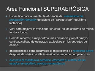 Área Funcional SUPERAERÓBICA
Aspectos metodológicos:
 Duración: 30’-50’ (tiempo de trabajo + pausa).
 Tipo: fraccionado intermedio (1’30” a 2’ de estímulo).
 Pausa: 45” a 1’15”.
 Frecuencia: cada 24-48 hs.
 Volumen: 18-25%.
 Ventilación: Jadeo moderado por boca. Habla entrecortado
o no habla (“no le gusta hablar”).
 Nivel de lactato: 4-7 mM/L
 Combustible predominante: Glucógeno muscular.
 