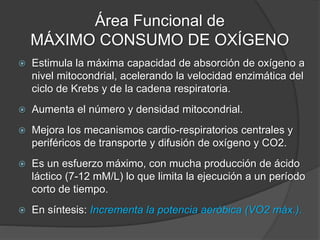 Área Funcional de
MÁXIMO CONSUMO DE OXÍGENO
Aspectos metodológicos:
 Duración: 12’-25’ (tiempo de trabajo + pausa).
 Tipo: fraccionado corto.
 Pausa: 1’ a 3’.
 Frecuencia: cada 48 hs.
 Volumen: 5-8%.
 Ventilación: Jadeo evidente por boca a predominio de la
profundidad. No habla o lo hace muy entrecortado (FR alta).
 Nivel de lactato: 7-10 mM/L
 Combustible predominante: Glucógeno muscular y glucosa.
 