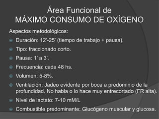 Áreas Funcionales ANAERÓBICAS
 Potencia anaeróbica máxima:
 Máxima producción de energía glucolítica no
oxidativa.
 Está en relación a la velocidad de glucólisis y
generación de lactato.
 Predominante en esfuerzos menores a 1'.
 Tolerancia anaeróbica máxima:
 Capacidad de soportar niveles de lactacidemia y
acidosis elevada.
 Esfuerzos máximos que duran entre 1’ y 3’.
 