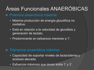 Áreas Funcionales ANAERÓBICAS
 Resistencia anaeróbica máxima:
 Está en relación a la más prolongada distancia/tiempo
que un individuo puede soportar en estado anaeróbico
submáximo.
 Predomina en esfuerzos submáximos de 2’ a 4’
 Es una extensión del VO2 máx., pudiéndolo mantener 2’
a 4’.
 