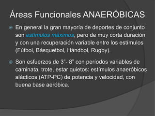 Áreas Funcionales ANAERÓBICAS
 En la gran mayoría de los deportes no necesitan tocar
estas áreas, mucho menos en deportes recreativos o
actividad física para la salud.
 Estas áreas de elevados niveles de ácido láctico están
reservadas para deportistas de alto rendimiento y en
ciertas disciplinas.
 