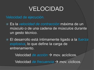 VELOCIDAD
Velocidad de aceleración.
 Es la capacidad de alcanzar rápidamente la
velocidad máxima.
 Su desarrollo está unido al entrenamiento del
sistema aláctico.
 