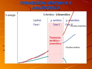 TRANSICIÓN AERÓBICA YTRANSICIÓN AERÓBICA Y
ANAERÓBICAANAERÓBICA
 