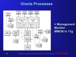 Oracle Processes

+ Management
Monitor
MMON in 11g

1-46

Copyright © Oracle Corporation, 1998, 2001. All rights reserved.

 