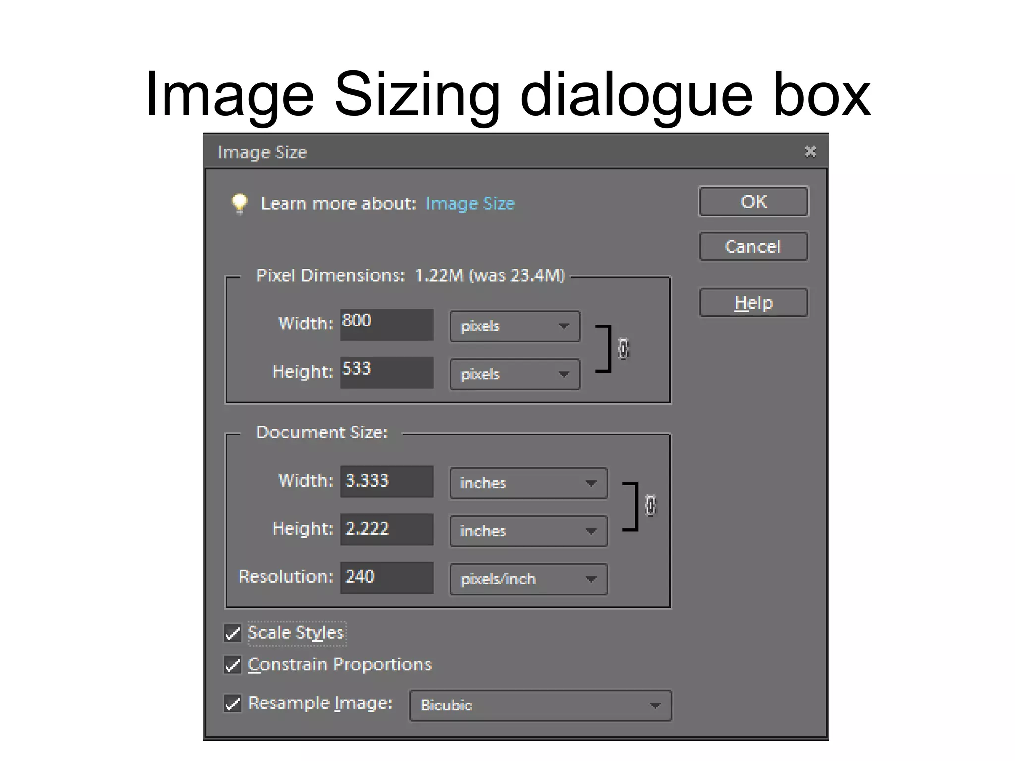 Image Sizing dialogue box 