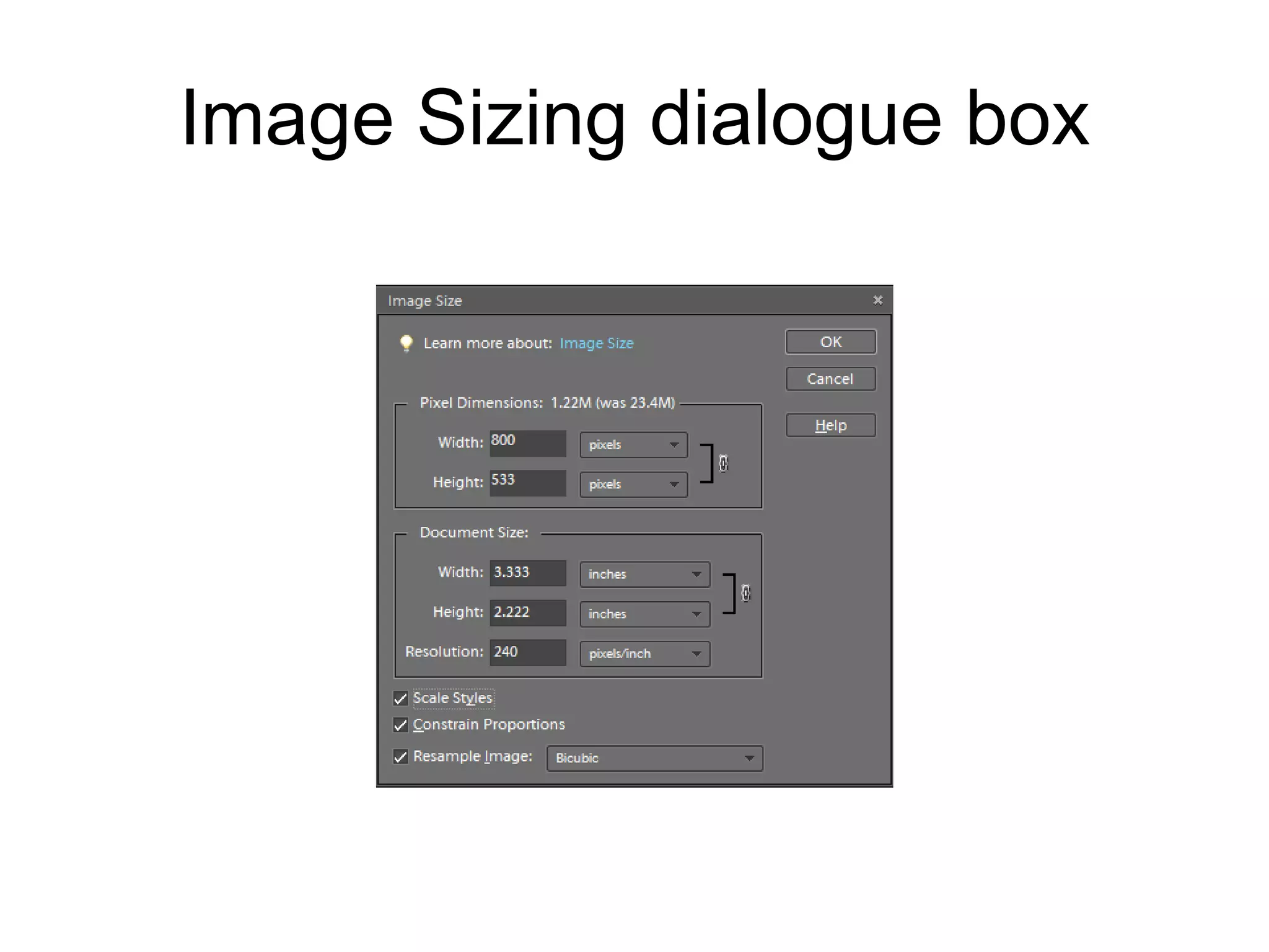 Image Sizing dialogue box 