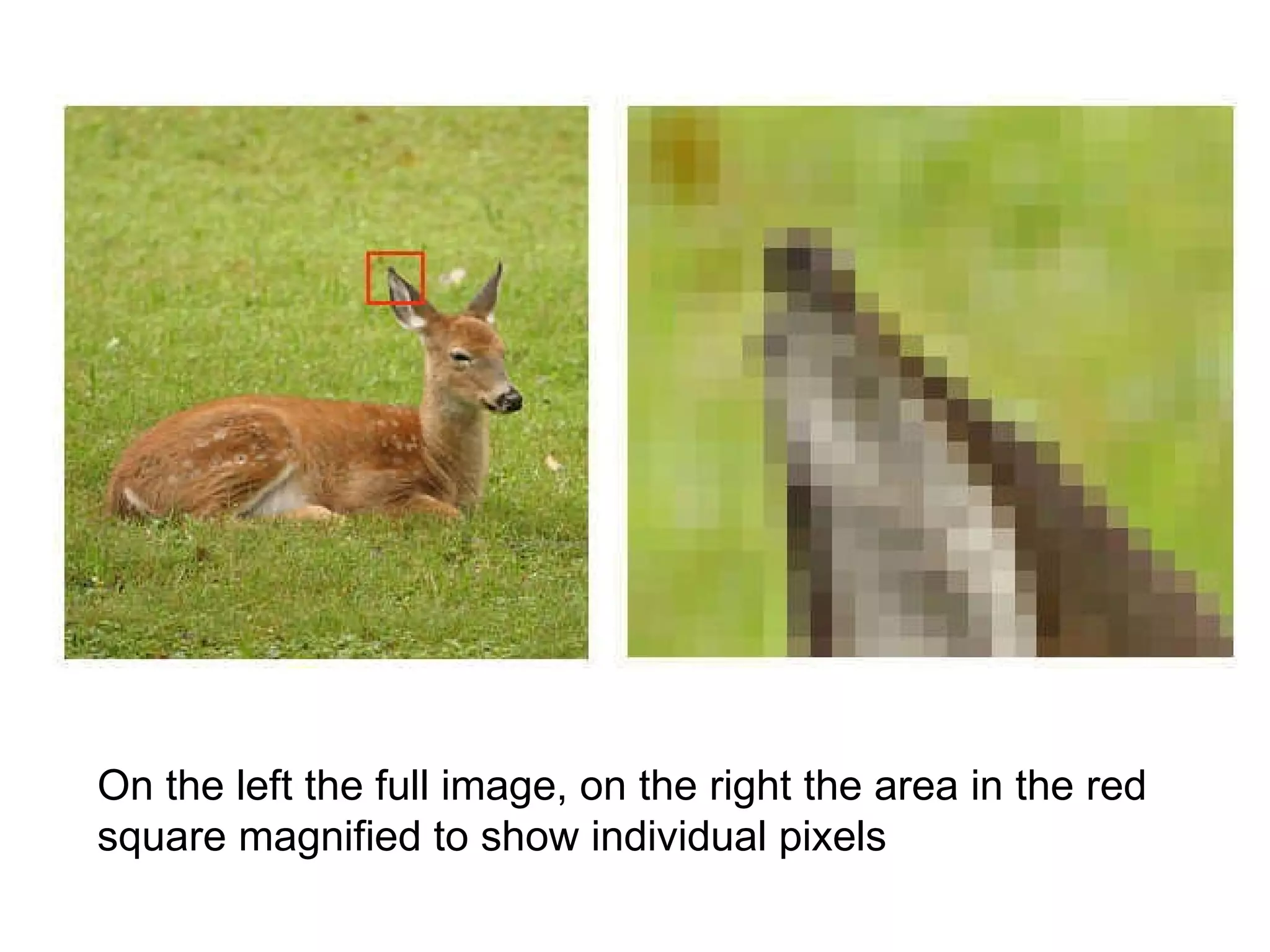 On the left the full image, on the right the area in the red square magnified to show individual pixels  