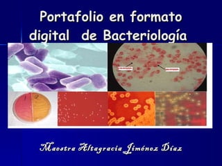 Portafolio en formato digital  de Bacteriología  Maestra Altagracia Jiménez Díaz 