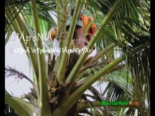 IÅp sN¯Â
sX§n n¶pamWvë IÅpsN¯p¶Xv