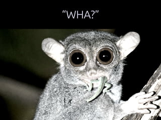 “WHA?” 
 