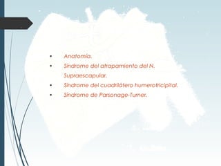 • Anatomía.
• Síndrome del atrapamiento del N.
Supraescapular.
• Síndrome del cuadrilátero humerotricipital.
• Síndrome de Parsonage-Turner.
 
