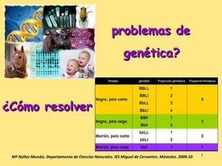 ¿Cómo resolver Mª Núñez Munáiz. Departamento de Ciencias Naturales. IES Miguel de Cervantes. Móstoles. 2009-10 problemas de  genética?   
