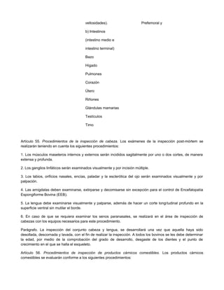 vellosidades).
b) Intestinos
(intestino medio e
intestino terminal)
Bazo
Hígado
Pulmones
Corazón
Útero
Riñones
Glándulas mamarias
Testículos
Timo
Prefemoral y
Artículo 55. Procedimientos de la inspección de cabeza. Los exámenes de la inspección post-mórtem se
realizarán teniendo en cuenta los siguientes procedimientos:
1. Los músculos maseteros internos y externos serán incididos sagitalmente por uno o dos cortes, de manera
extensa y profunda.
2. Los ganglios linfáticos serán examinados visualmente y por incisión múltiple.
3. Los labios, orificios nasales, encías, paladar y la esclerótica del ojo serán examinados visualmente y por
palpación.
4. Las amígdalas deben examinarse, extirparse y decomisarse sin excepción para el control de Encefalopatía
Espongiforme Bovina (EEB).
5. La lengua debe examinarse visualmente y palparse, además de hacer un corte longitudinal profundo en la
superficie ventral sin mutilar el borde.
6. En caso de que se requiera examinar los senos paranasales, se realizará en el área de inspección de
cabezas con los equipos necesarios para este procedimiento.
Parágrafo. La inspección del conjunto cabeza y lengua, se desarrollará una vez que aquella haya sido
desollada, descornada y lavada, con el fin de realizar la inspección. A todos los bovinos se les debe determinar
la edad, por medio de la comprobación del grado de desarrollo, desgaste de los dientes y el punto de
crecimiento en el que se halla el esqueleto.
Artículo 56. Procedimientos de inspección de productos cárnicos comestibles. Los productos cárnicos
comestibles se evaluarán conforme a los siguientes procedimientos:
 