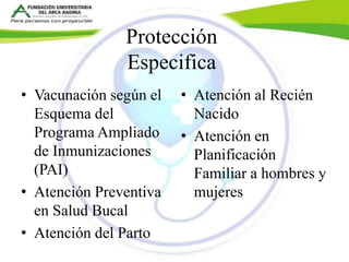 Protección 
Especifica 
• Vacunación según el 
Esquema del 
Programa Ampliado 
de Inmunizaciones 
(PAI) 
• Atención Preventiva 
en Salud Bucal 
• Atención del Parto 
• Atención al Recién 
Nacido 
• Atención en 
Planificación 
Familiar a hombres y 
mujeres 
 