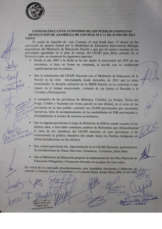 Resolucion Asamblea Nacional Junio de 2013