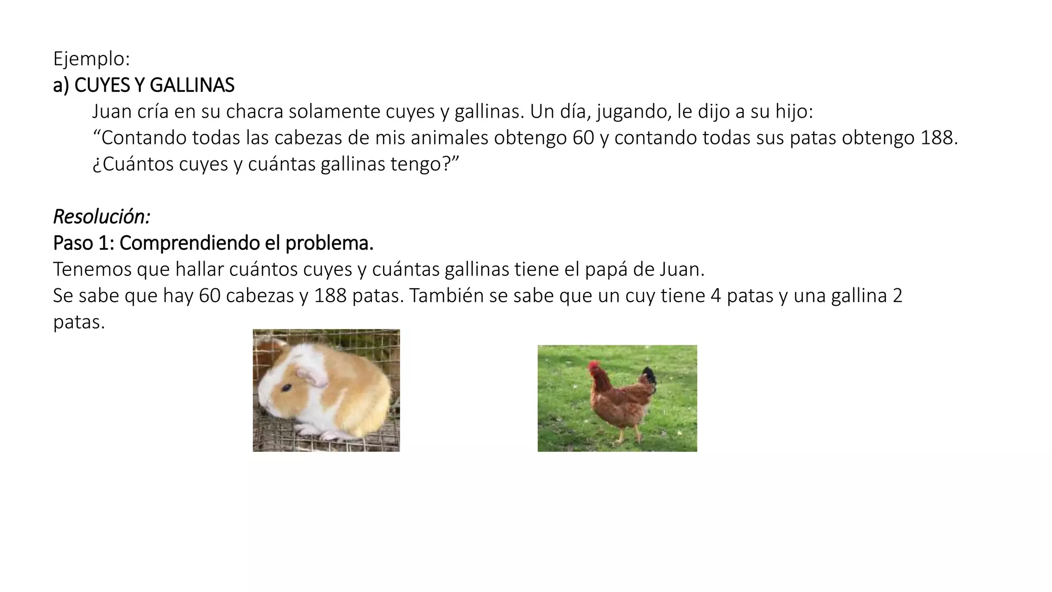 Ejemplo: 
a) CUYES Y GALLINAS 
Juan cría en su chacra solamente cuyes y gallinas. Un día, jugando, le dijo a su hijo: 
“Contando todas las cabezas de mis animales obtengo 60 y contando todas sus patas obtengo 188. 
¿Cuántos cuyes y cuántas gallinas tengo?” 
Resolución: 
Paso 1: Comprendiendo el problema. 
Tenemos que hallar cuántos cuyes y cuántas gallinas tiene el papá de Juan. 
Se sabe que hay 60 cabezas y 188 patas. También se sabe que un cuy tiene 4 patas y una gallina 2 
patas. 
 