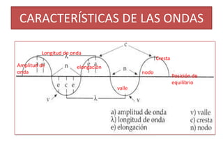 CARACTERÍSTICAS DE LAS ONDAS

         Longitud de onda
                                                   Cresta
Amplitud de            elongación
onda                                        nodo
                                                            Posición de
                                                            equilibrio
                                    valle
 