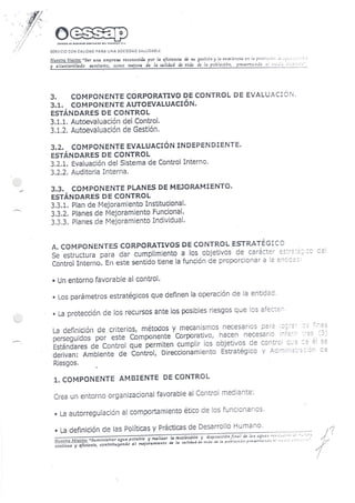 Resolucion nro485 2010