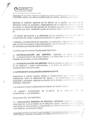 Resolucion nro485 2010