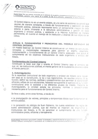 Resolucion nro485 2010