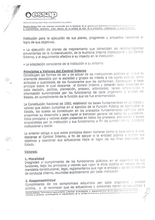 Resolucion nro485 2010