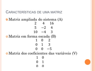 CARACTERÍSTICAS DE UMA MATRIZ

 