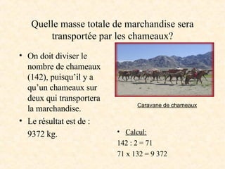 Quelle masse totale de marchandise sera transportée par les chameaux? On doit diviser le nombre de chameaux (142), puisqu’il y a qu’un chameaux sur deux qui transportera la marchandise. Le résultat est de : 9372 kg. Calcul: 142 : 2 = 71 71 x 132 = 9 372 Caravane de chameaux 