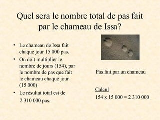 Quel sera le nombre total de pas fait par le chameau de Issa? Le chameau de Issa fait chaque jour 15 000 pas. On doit multiplier le nombre de jours (154), par le nombre de pas que fait le chameau chaque jour (15 000) Le résultat total est de  2 310 000 pas. Calcul 154 x 15 000 = 2 310 000 Pas fait par un chameau 