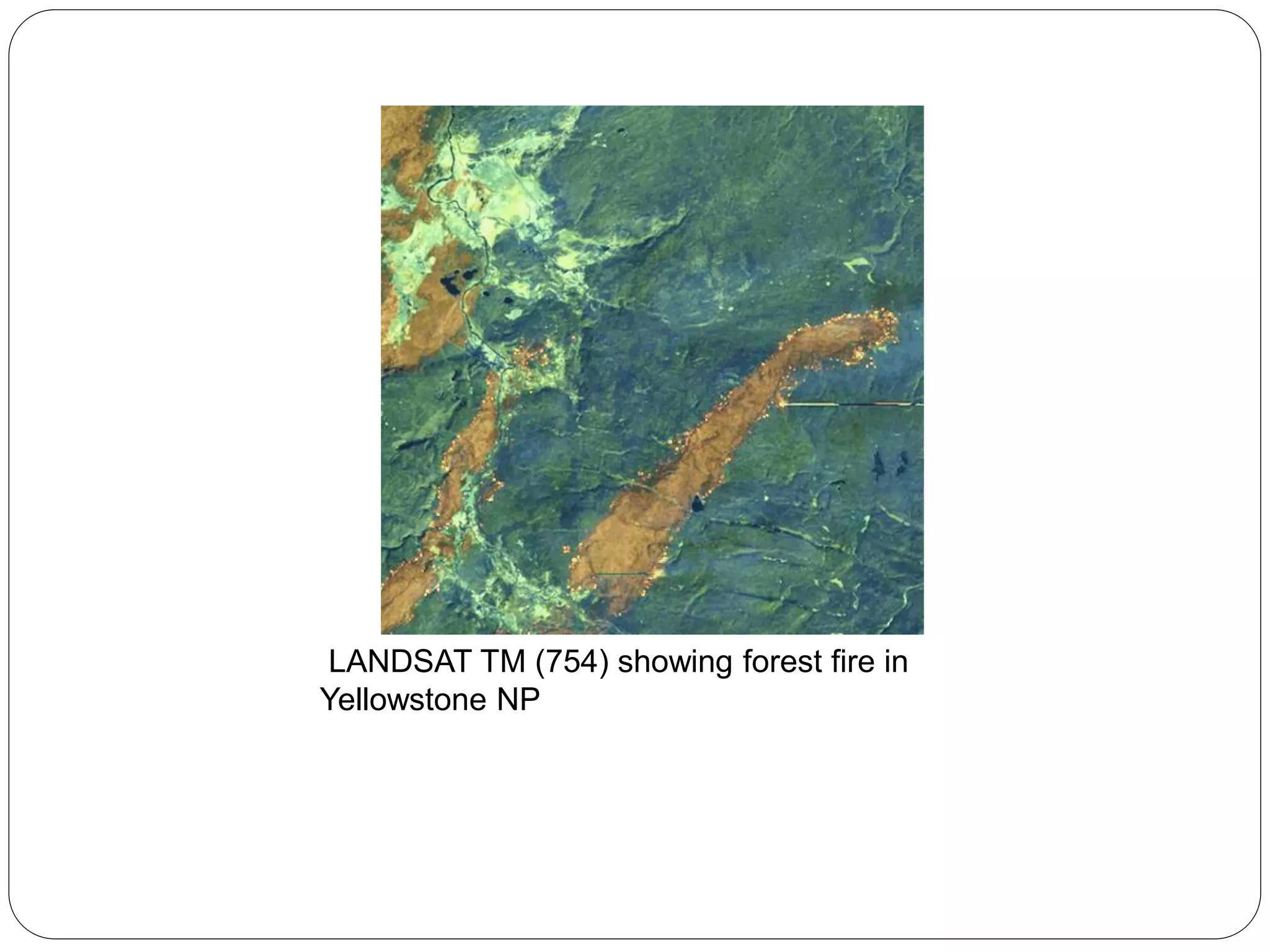 LANDSAT TM (754) showing forest fire in
Yellowstone NP
 