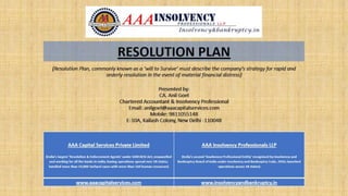 Resolution plan with Sample formats 