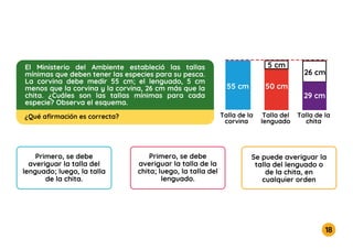 18
Primero, se debe
averiguar la talla del
lenguado; luego, la talla
de la chita.
Primero, se debe
averiguar la talla de la
chita; luego, la talla del
lenguado.
Se puede averiguar la
talla del lenguado o
de la chita, en
cualquier orden
Talla de la
corvina
Talla del
lenguado
55 cm 50 cm
5 cm
26 cm
Talla de la
chita
29 cm
El Ministerio del Ambiente estableció las tallas
mínimas que deben tener las especies para su pesca.
La corvina debe medir 55 cm; el lenguado, 5 cm
menos que la corvina y la corvina, 26 cm más que la
chita. ¿Cuáles son las tallas mínimas para cada
especie? Observa el esquema.
¿Qué aﬁrmación es correcta?
 