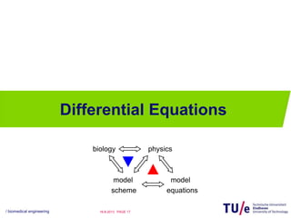 Modelling with differential equations | PPT