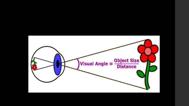 Resolving Power of the Eye..........pptx