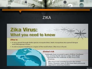 ZIKA
A Quiz by Qui9
 