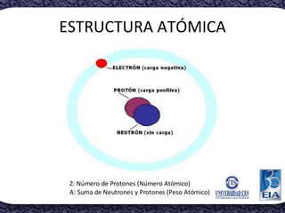 ESTRUCTURA ATÓMICA Z: Número de Protones (Número Atómico) A: Suma de Neutrones y Protones (Peso Atómico) 