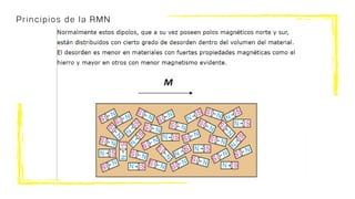 Principios de la RMN
 