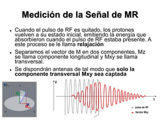 Medición de la Señal de MR
 Cuando el pulso de RF es quitado, los protones
vuelven a su estado inicial, emitiendo la energía que
absorbieron cuando el pulso de RF estaba presente. A
este proceso se le llama relajación
 Separamos el vector de M en dos componentes, Mz
se llama componente longitudinal y Mxy se llama
transversal.
 Se dispondrán antenas de tal modo que solo la
componente transversal Mxy sea captada
z
MZ
M
MXY
B0
yx
V
t
pulso de RF
Verctor Mxy
 