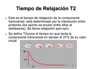 Tiempo de Relajación T2
 Este es el tiempo de relajación de la componente
transversal, esta determinado por la interacción entre
protones (los spines se anulan entre ellos al
desfasarse). Se llama relajación spin-spin.
 Se define T2como el tiempo en que tarda la
componente transversal en decaer al 37% de su valor
inicial.
t
T2
MXY
37%
 
